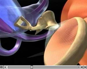 Screenshot einer Visualisierung